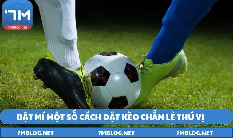 Một vài cách đặt kèo chẵn lẻ từ cao thủ
